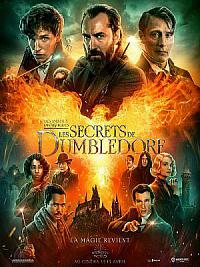 film Les Animaux Fantastiques 3 - les Secrets de Dumbledore